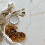 Marble - Cream